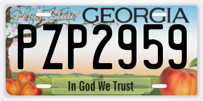 GA license plate PZP2959