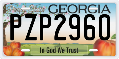 GA license plate PZP2960