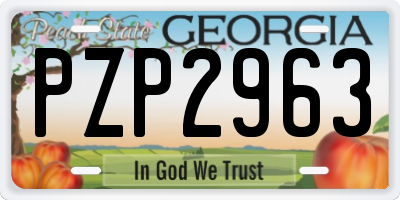 GA license plate PZP2963