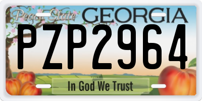 GA license plate PZP2964