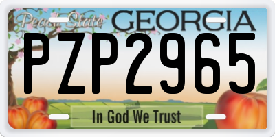 GA license plate PZP2965