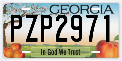 GA license plate PZP2971