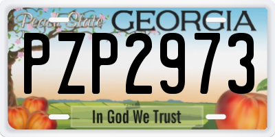 GA license plate PZP2973