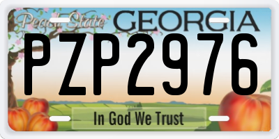GA license plate PZP2976