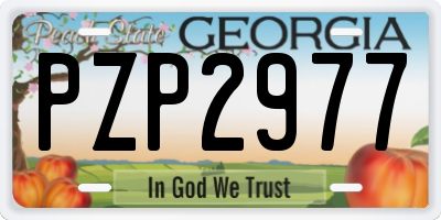 GA license plate PZP2977