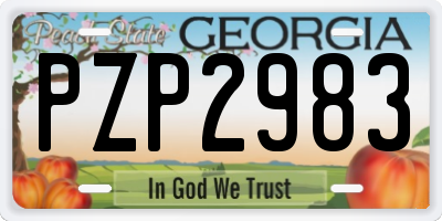 GA license plate PZP2983