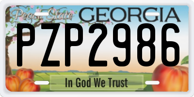 GA license plate PZP2986