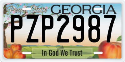 GA license plate PZP2987