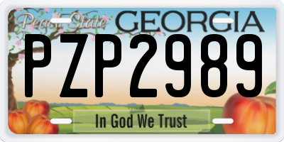 GA license plate PZP2989