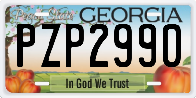 GA license plate PZP2990