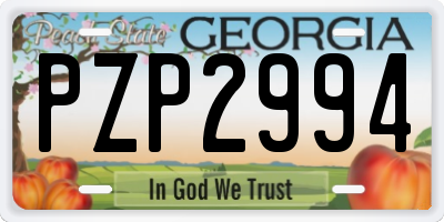 GA license plate PZP2994