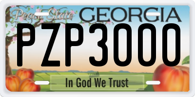 GA license plate PZP3000