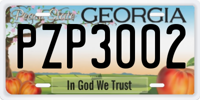 GA license plate PZP3002