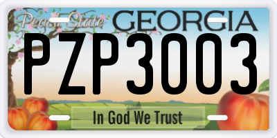 GA license plate PZP3003