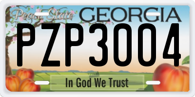 GA license plate PZP3004