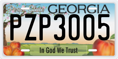 GA license plate PZP3005
