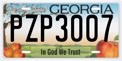 GA license plate PZP3007