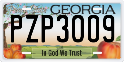 GA license plate PZP3009