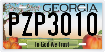 GA license plate PZP3010