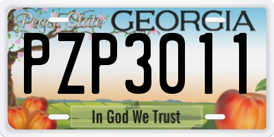GA license plate PZP3011