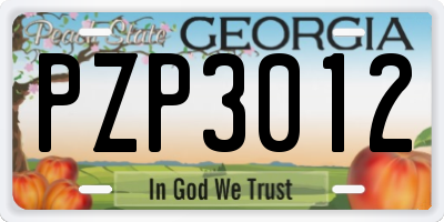 GA license plate PZP3012