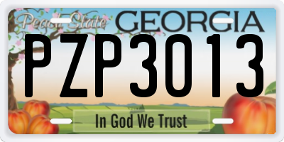 GA license plate PZP3013