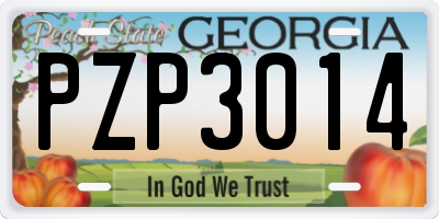 GA license plate PZP3014