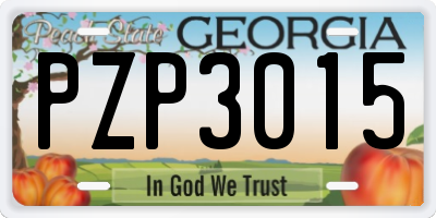 GA license plate PZP3015