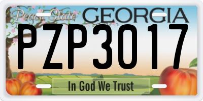 GA license plate PZP3017