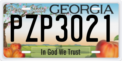 GA license plate PZP3021