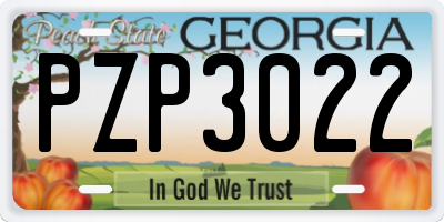 GA license plate PZP3022