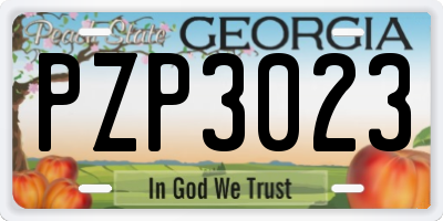 GA license plate PZP3023