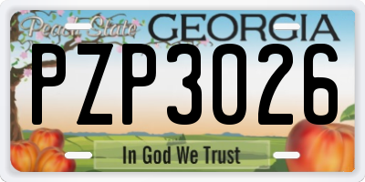 GA license plate PZP3026