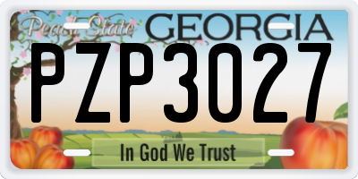 GA license plate PZP3027