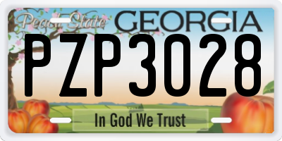 GA license plate PZP3028