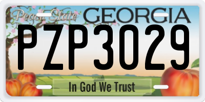 GA license plate PZP3029