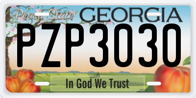 GA license plate PZP3030
