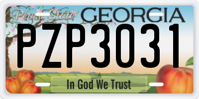 GA license plate PZP3031