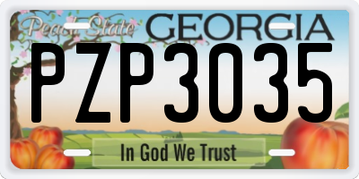 GA license plate PZP3035