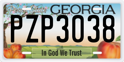 GA license plate PZP3038