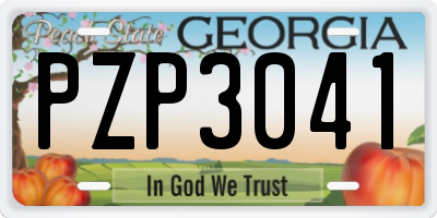 GA license plate PZP3041