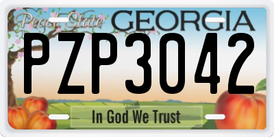GA license plate PZP3042