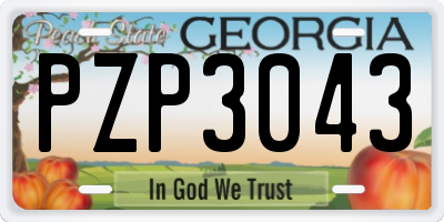 GA license plate PZP3043