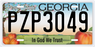 GA license plate PZP3049