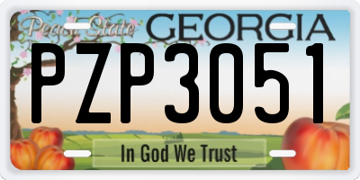 GA license plate PZP3051