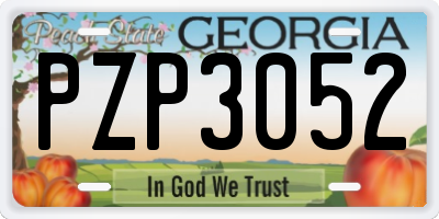 GA license plate PZP3052