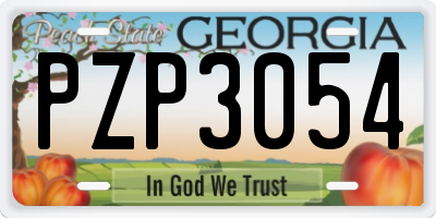 GA license plate PZP3054
