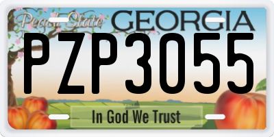 GA license plate PZP3055