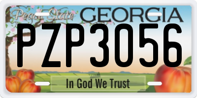 GA license plate PZP3056