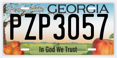 GA license plate PZP3057